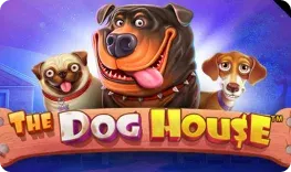 Spinogambino – The Dog House